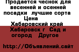 Продается чеснок для весенней и осенней посадки, лучшие сорта › Цена ­ 250 - Хабаровский край, Хабаровск г. Сад и огород » Другое   